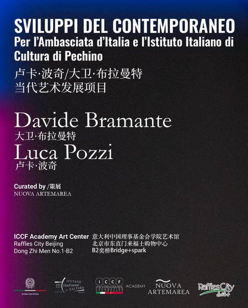 CATALOGO: Sviluppi del Contemporaneo Pozzi / Bramante - Nuova Artemarea